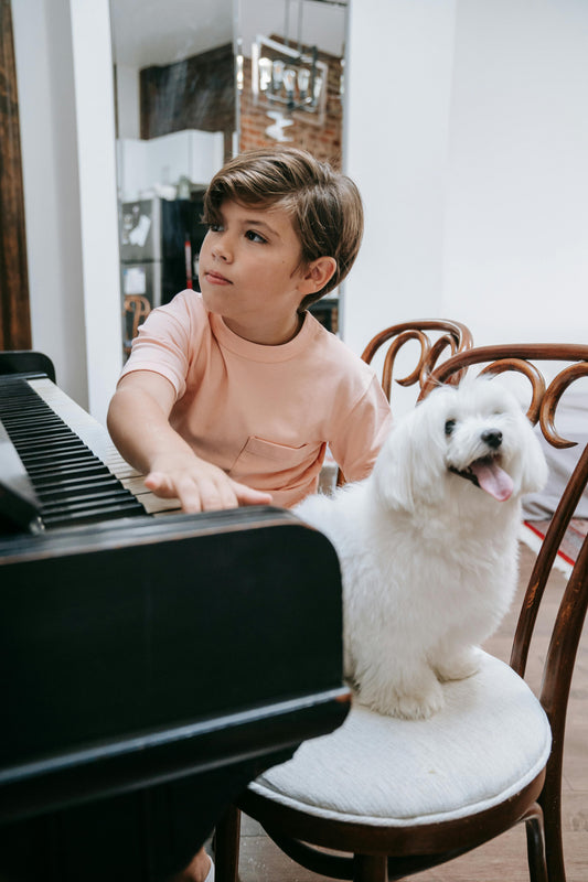 Piano boy with dog sitting nearby