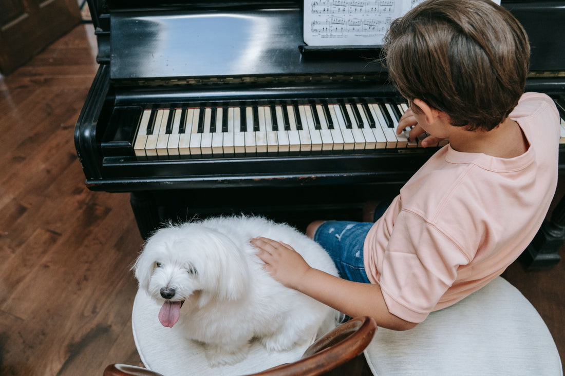 boy at piano with dog