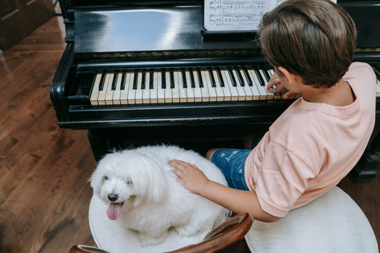 boy at piano with dog