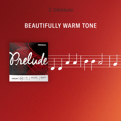 D'Addario Prelude Strings – the educator's choice for student strings